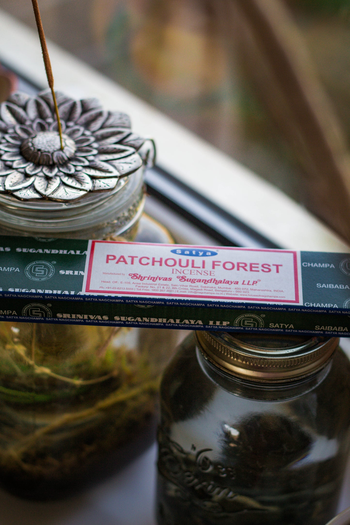 Patchouli Forest
