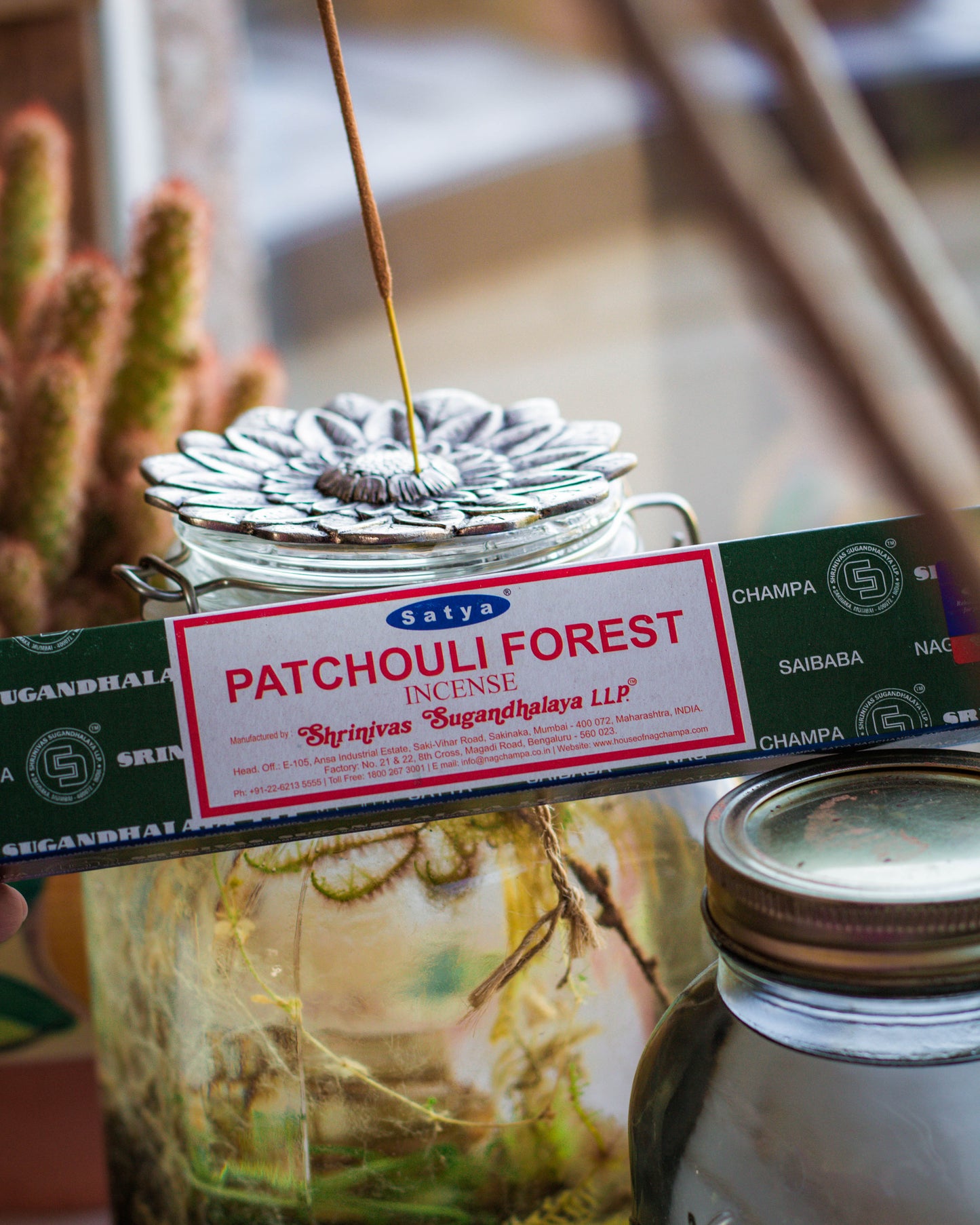 Patchouli Forest