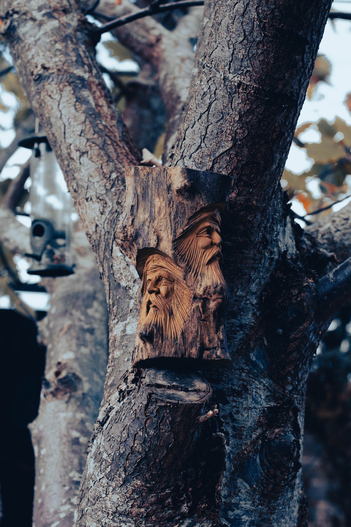 Elderwood Watchers