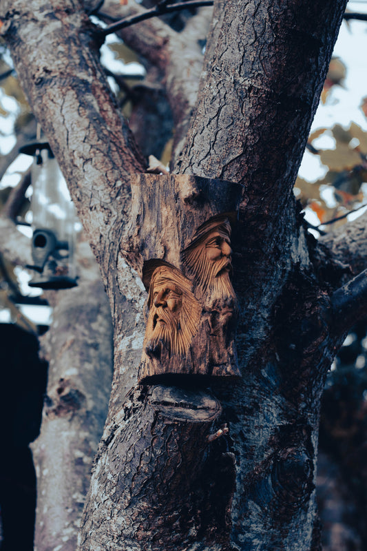 Elderwood Watchers