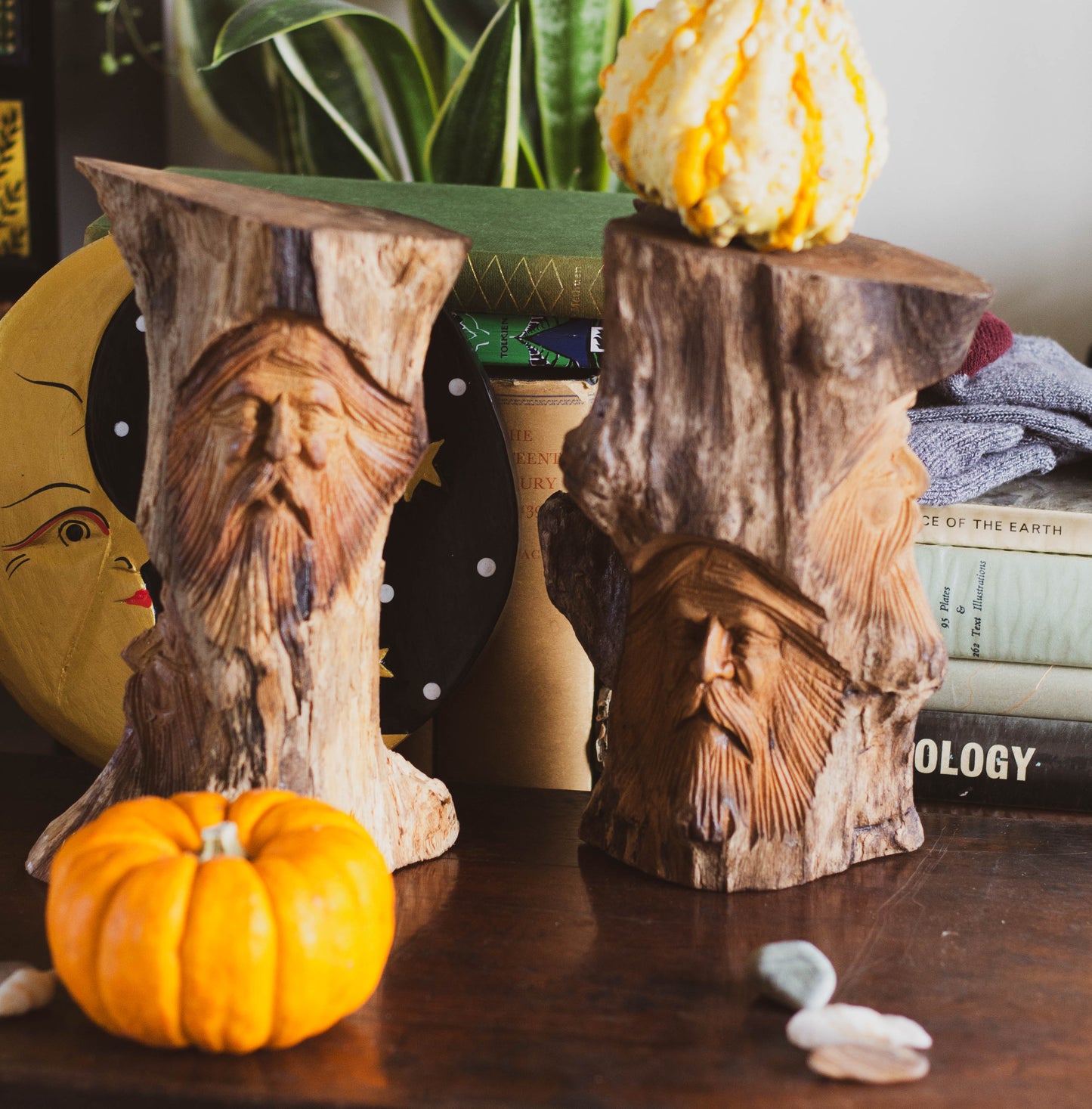 Elderwood Watchers