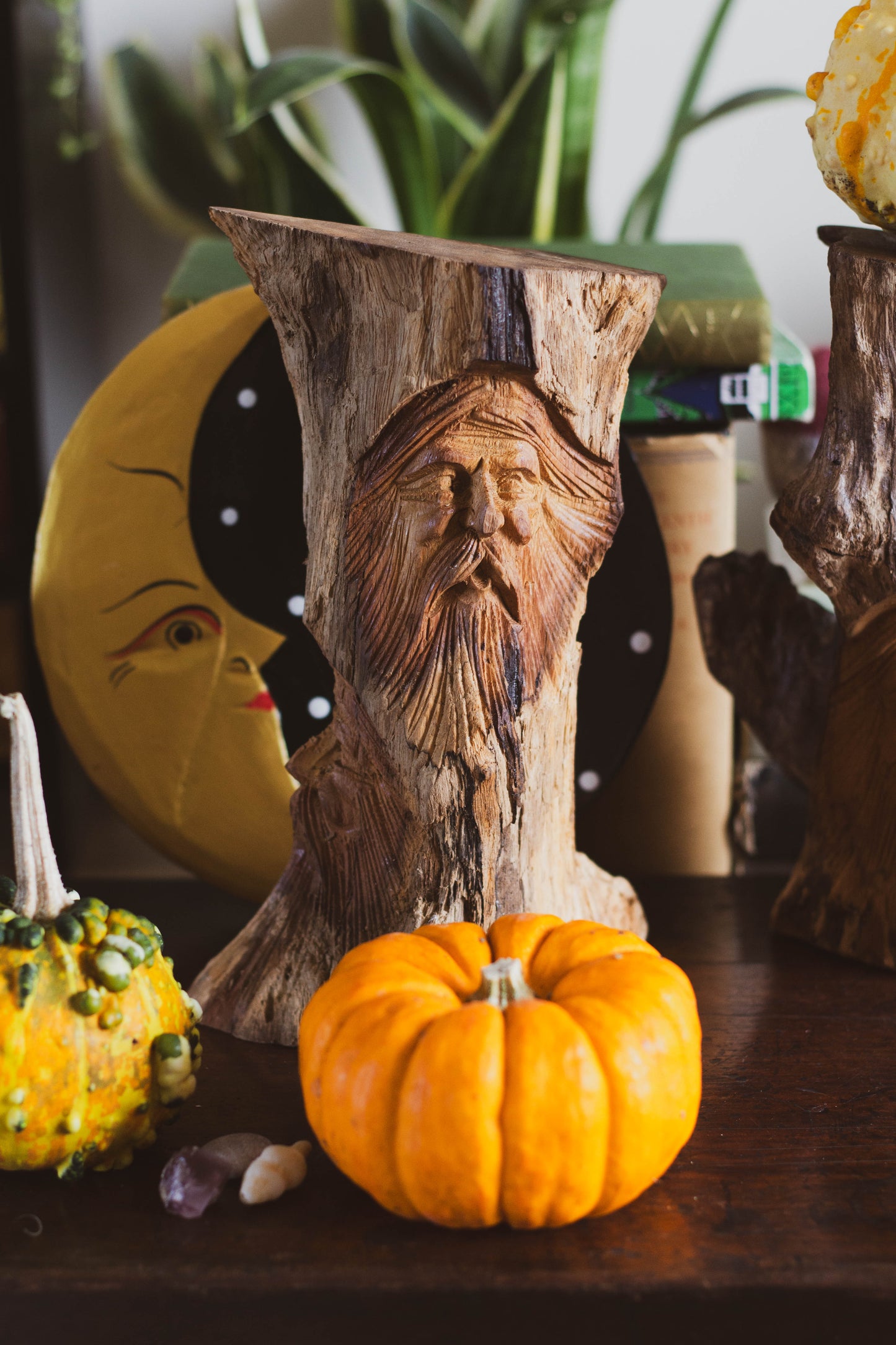 Elderwood Watchers