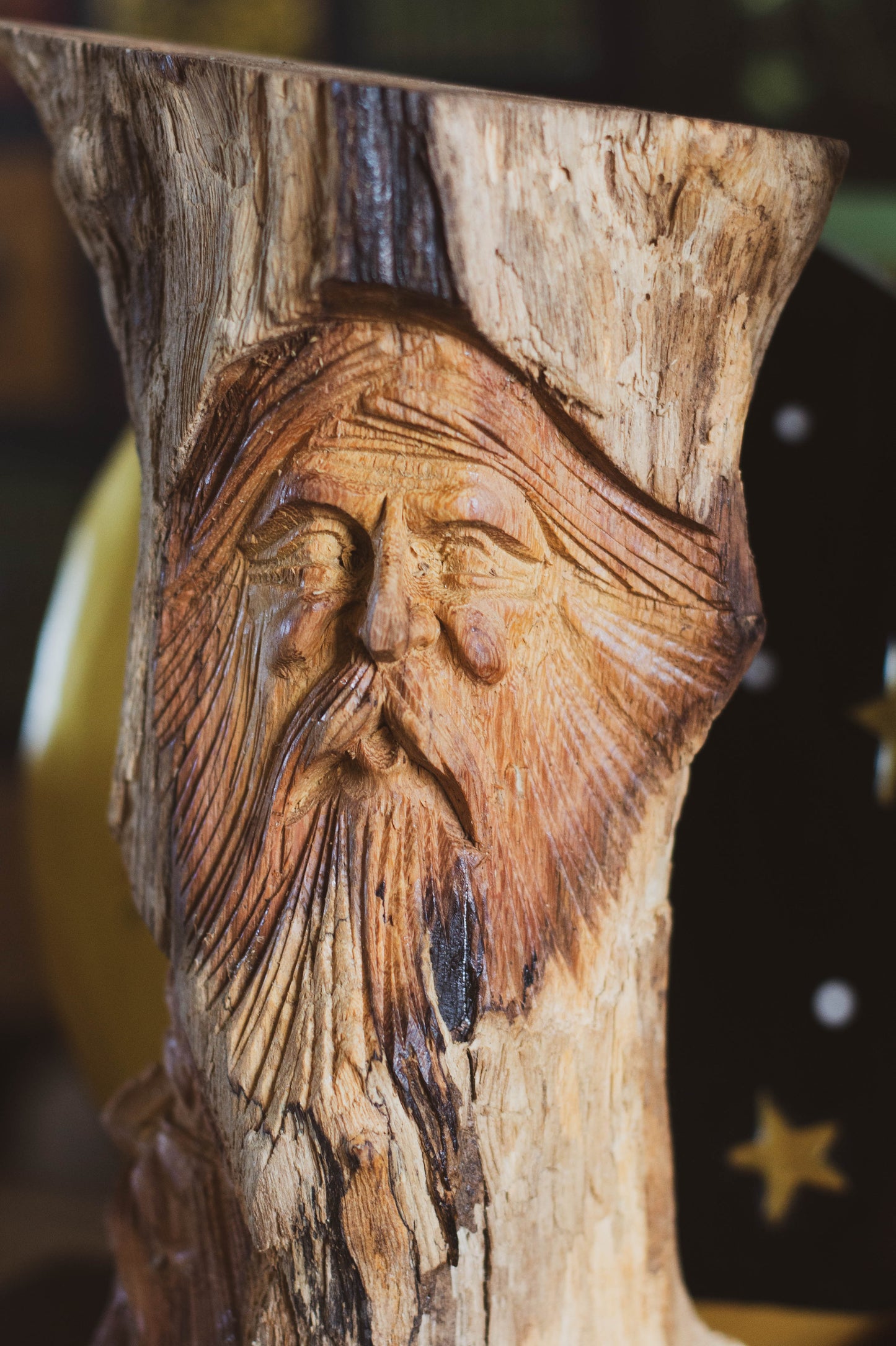 Elderwood Watchers