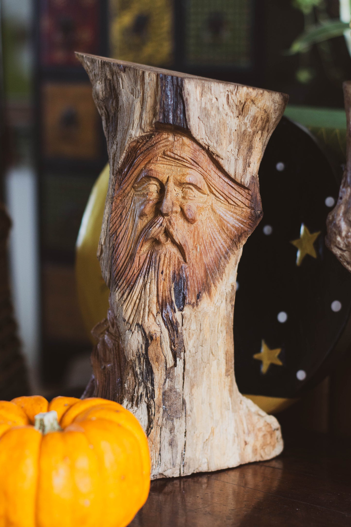Elderwood Watchers