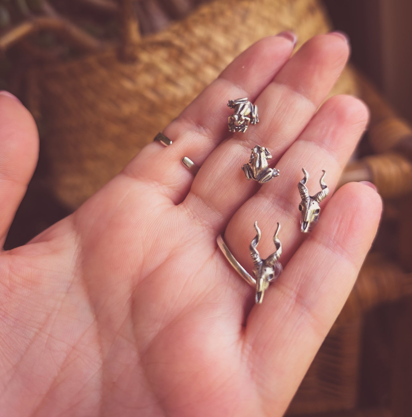 Froggy Familiar Earrings 925