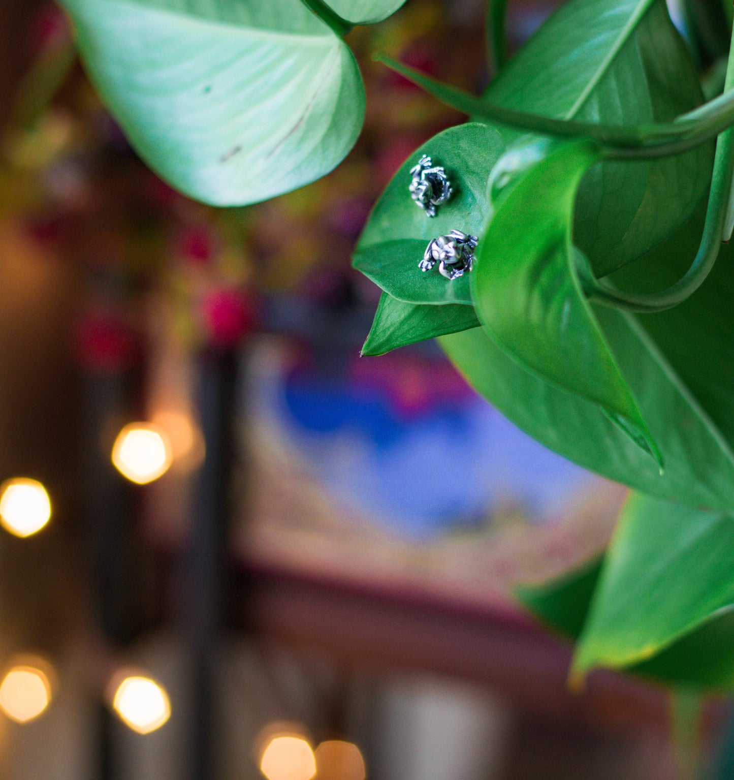 Froggy Familiar Earrings 925