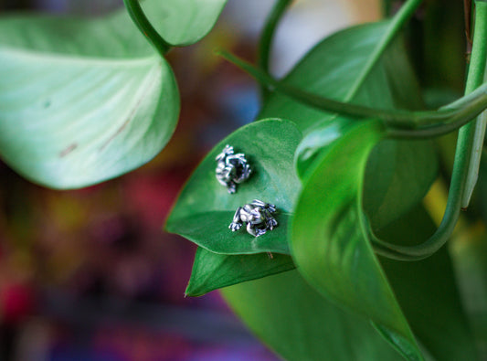 Froggy Familiar Earrings 925