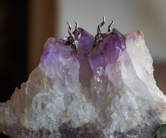 Skull Earrings 925
