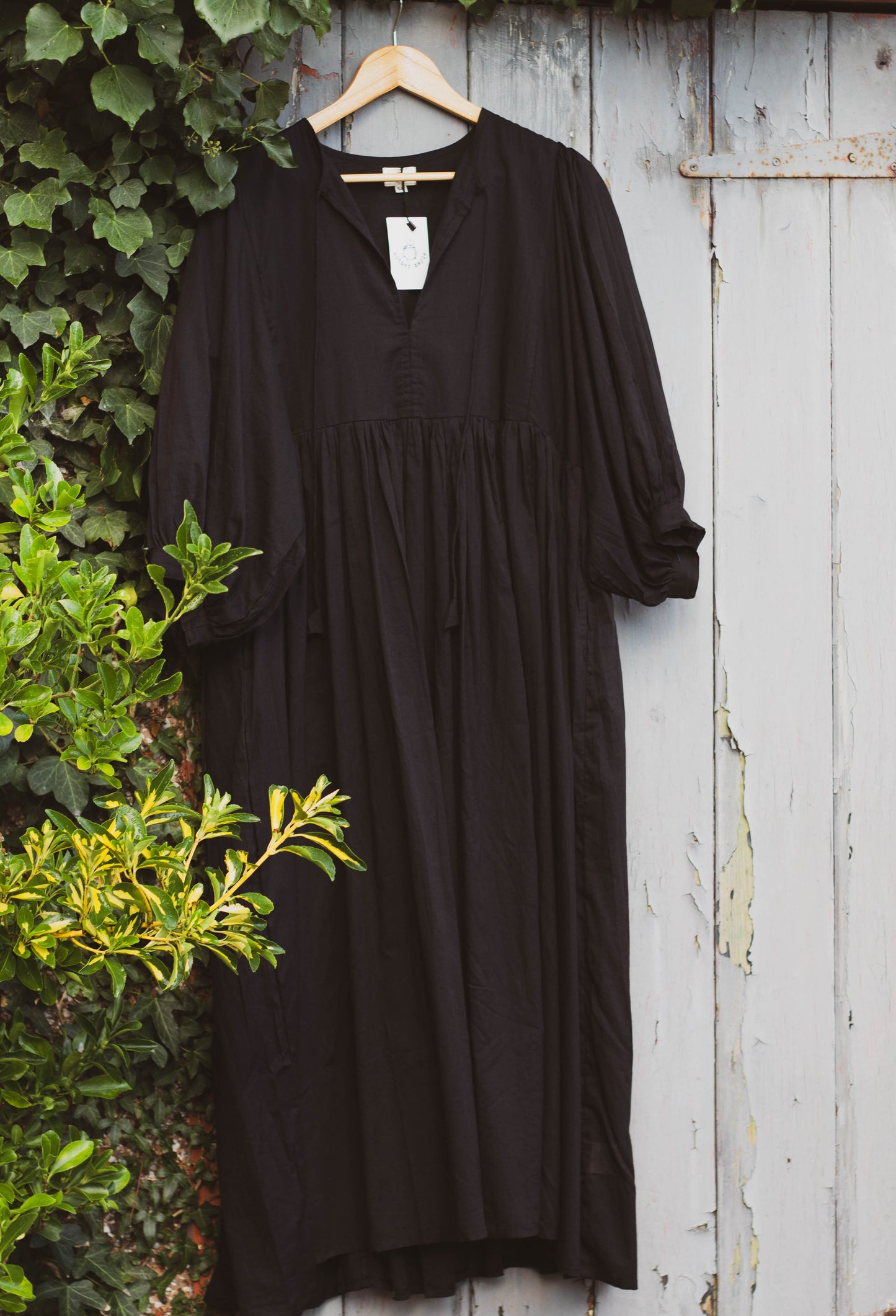 Coven