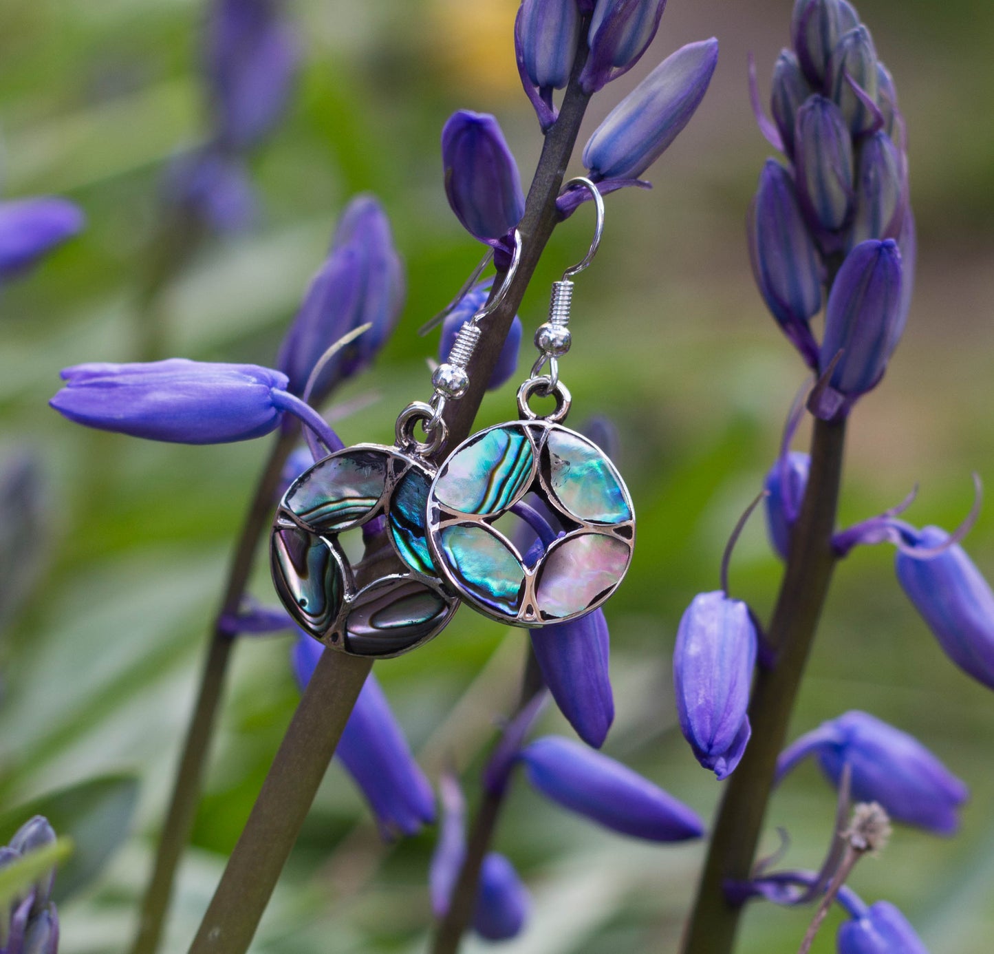Abalone Shell Earrings