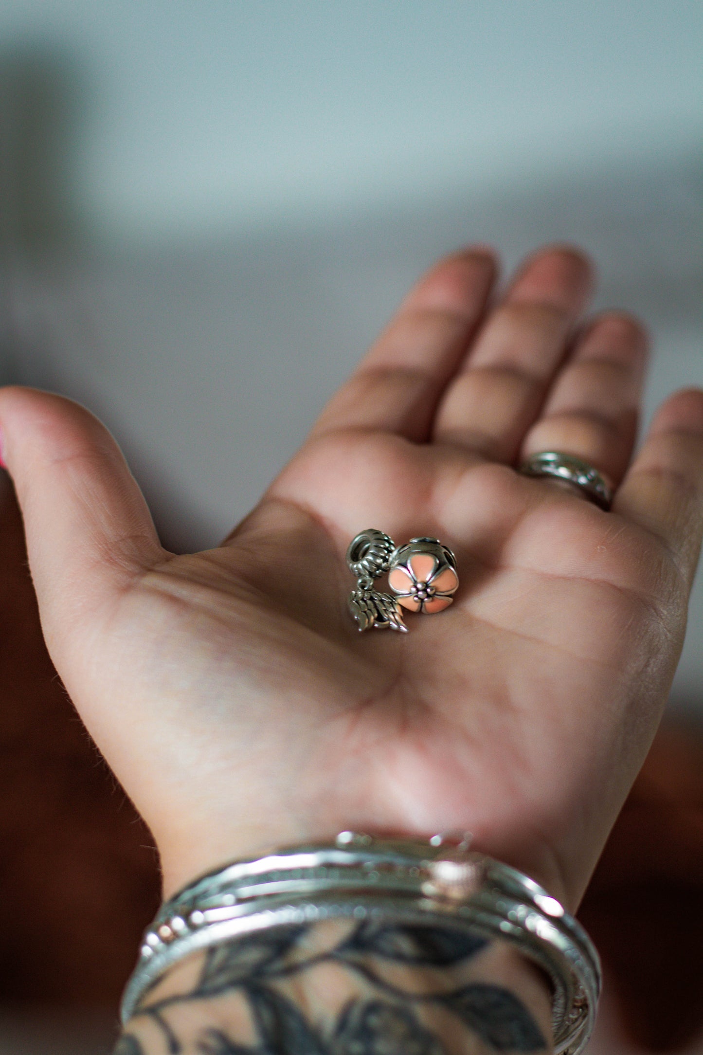 Preloved Pandora Charms
