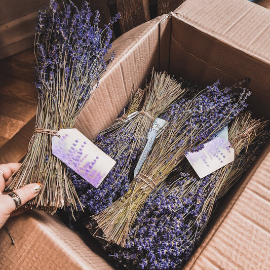 Lavender bundle